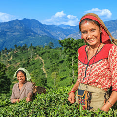 Darjeeling Tea - First Flush